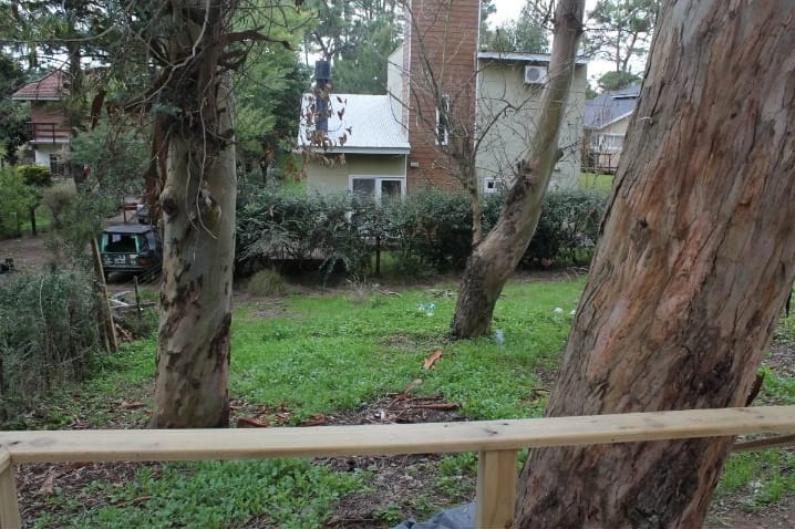 WhatsApp Image 2025-06-26 at 15.19.52 2.jpeg